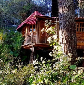 Cabañas Campamento Tlatempa - Hostel