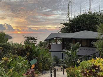 Monkitail at Tulemar