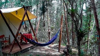 Glamping tipo safari