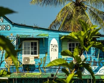 Twin Fin Hostels