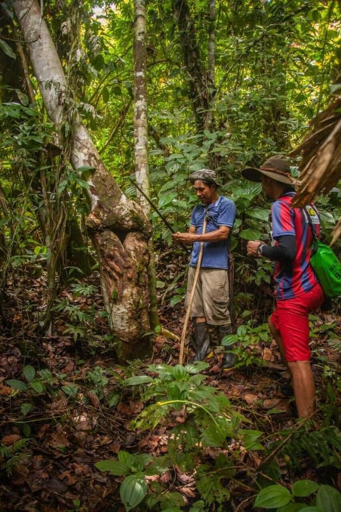 Ditsowou Lodge & Tours