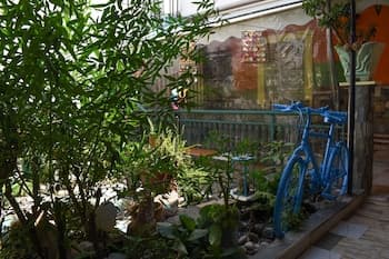 Urban Seaside Oasis - Adriana's Garden Paradise