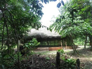 Centro Ayaymama Mystic