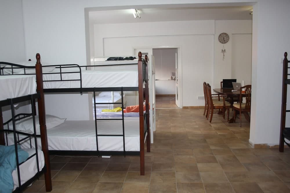 C.A.T Hostel Paphos-Adult only
