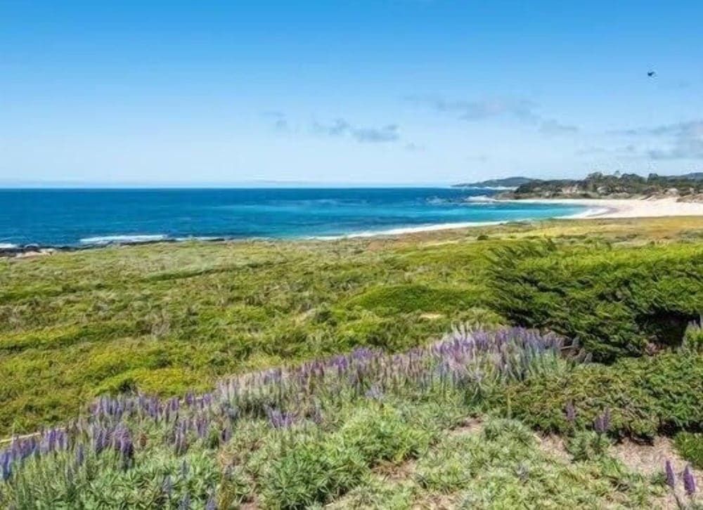 Lx5: Ocean Front Villa