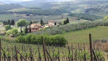 Agriturismo Podere La Cava