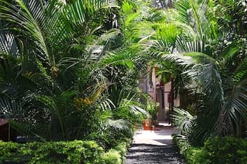 Mama Simba Kilimanjaro Homebase