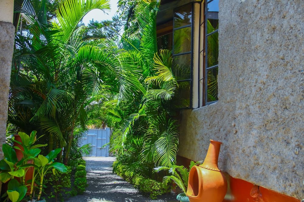 Mama Simba Kilimanjaro Homebase