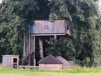 Treehouse Magpies Nest With Bubble Pool