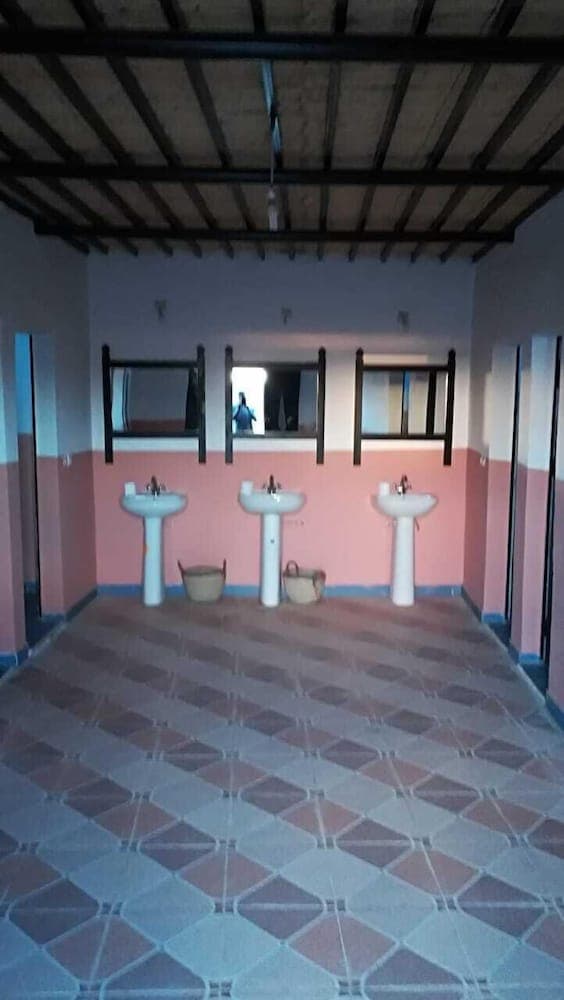 Caravan Renard Du Désert