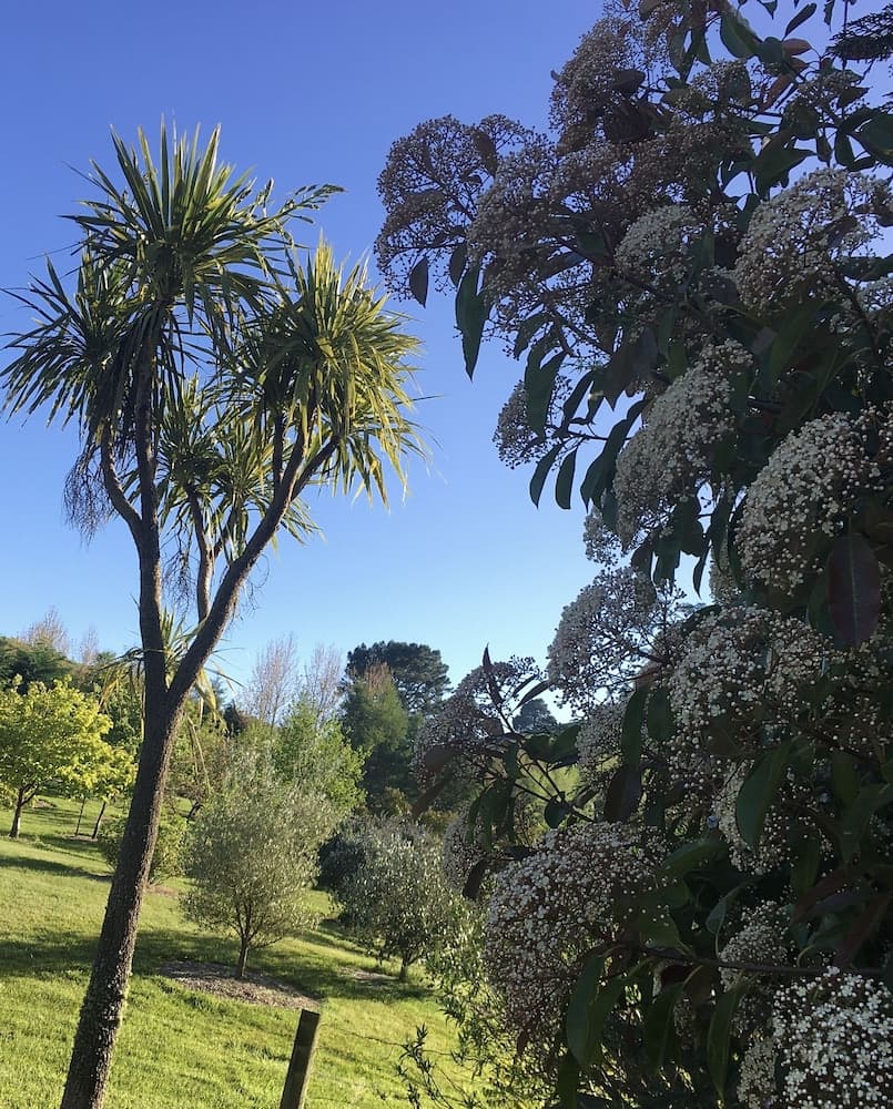 Orchard View FarmStay Retreat