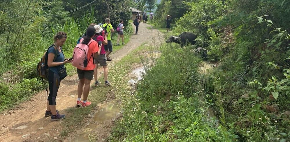 Bao Lac Homestay & Hostel