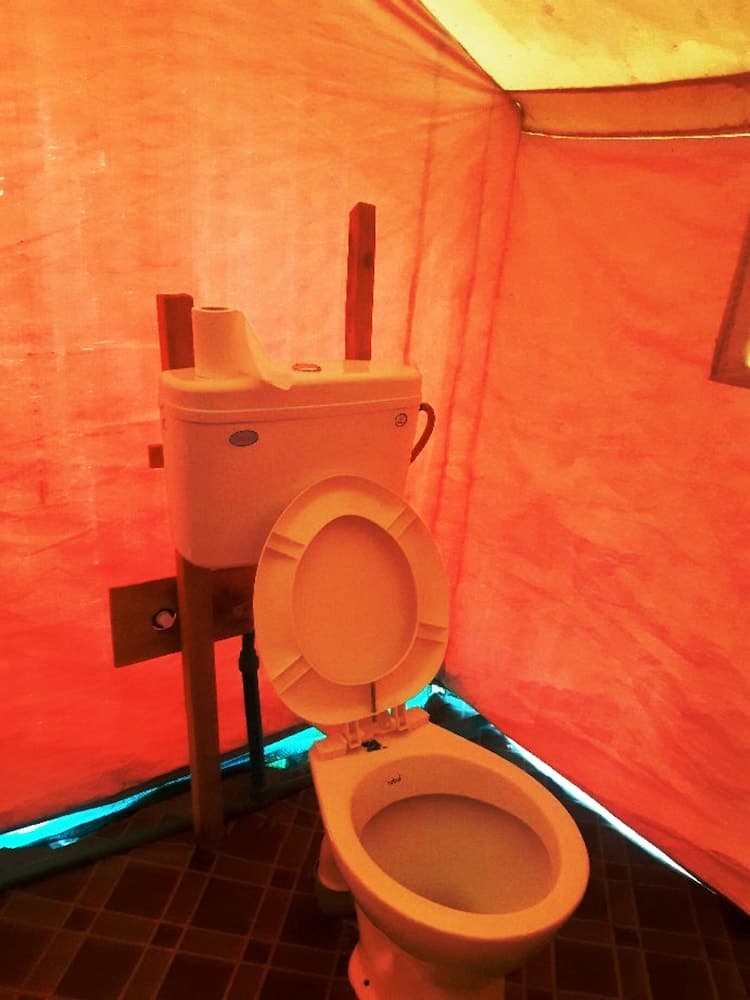 TIH Buckwheat Root Camp - Turtuk