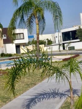 Casa Completa Dreams Lagoons Apodaca
