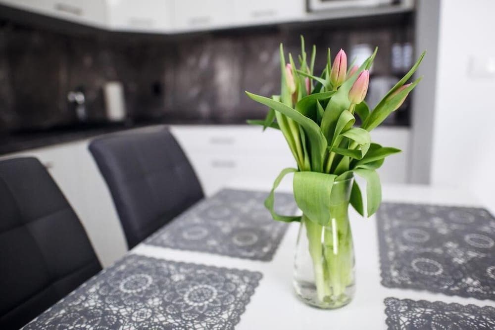 Apartamenty Sun & Snow Kopernika