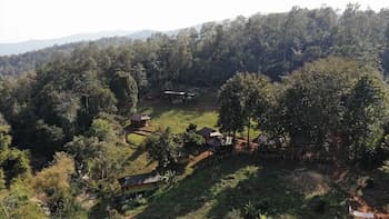 Chiang Mai Elephant Friends