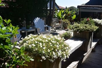 Terry and Cindy's B&B