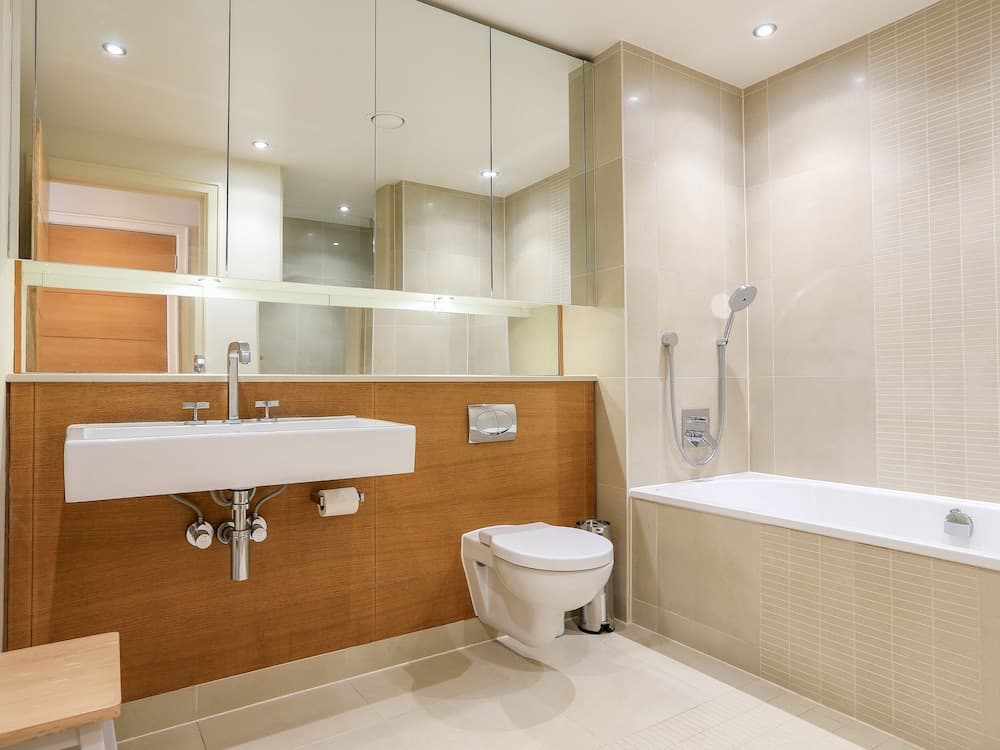 Quayside, Dart Marina