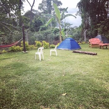 Ben And Lily Cottages