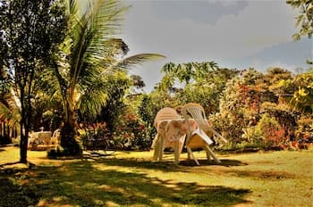 Pousada Recanto dos Pássaros