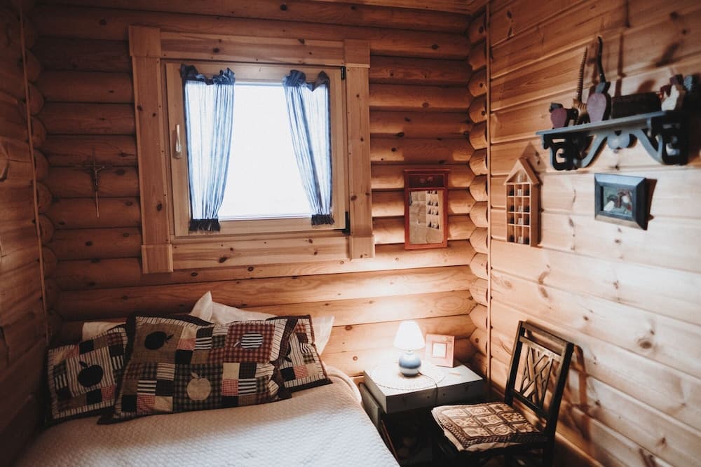 Log Cabin at White River