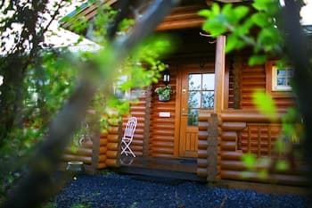 Log Cabin at White River