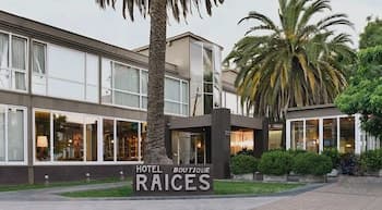 Hotel Raices