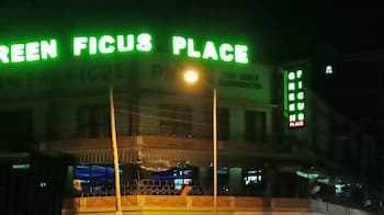 Green Ficus Place