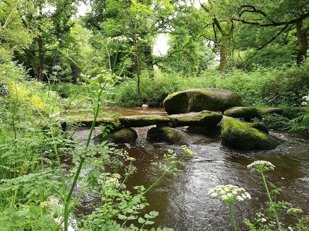 Chambres d'Hôtes Au Cœur De Breizh