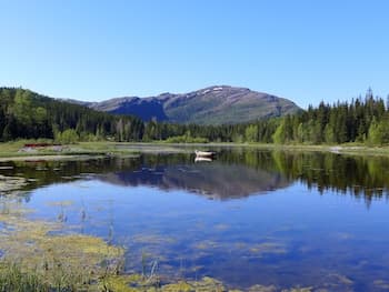 Velfjord camping & hytter