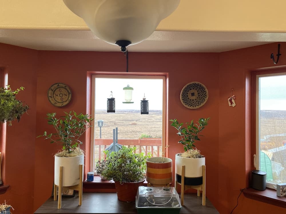 Igloo of Enlightenment