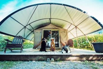 Long Point Eco-Adventures