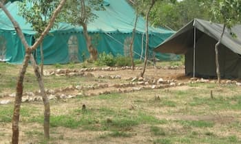 Lochinvar Safari Lodge