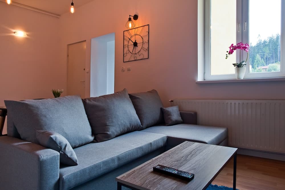 Apartament City Center Grand Loft