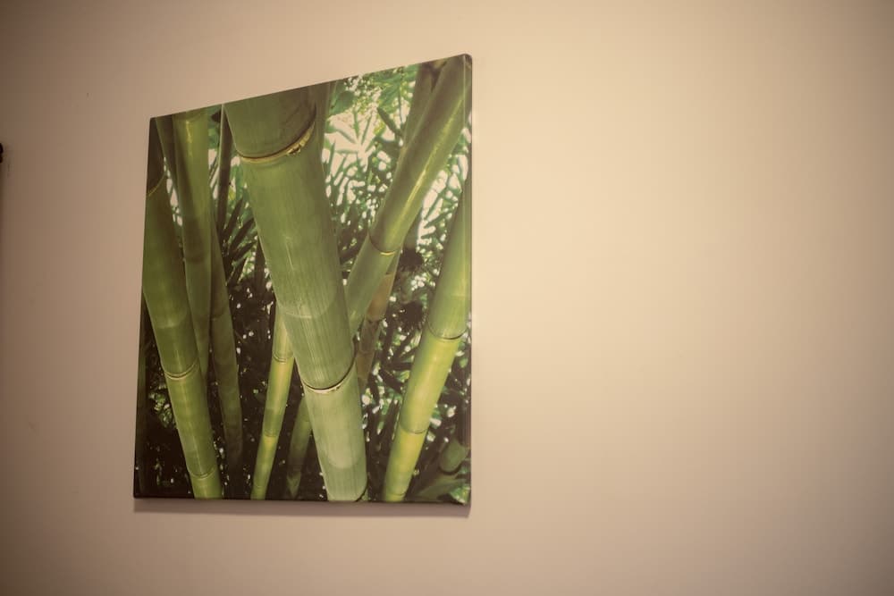 Victus Apartamenty - Gracja