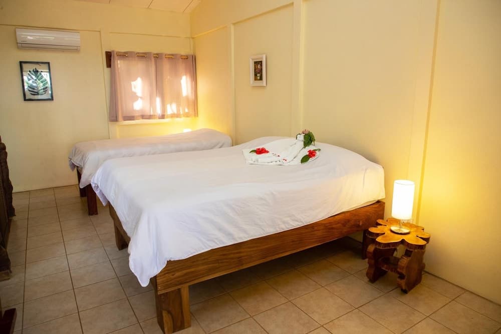 Jungle Lodge at Wild Sun Rescue