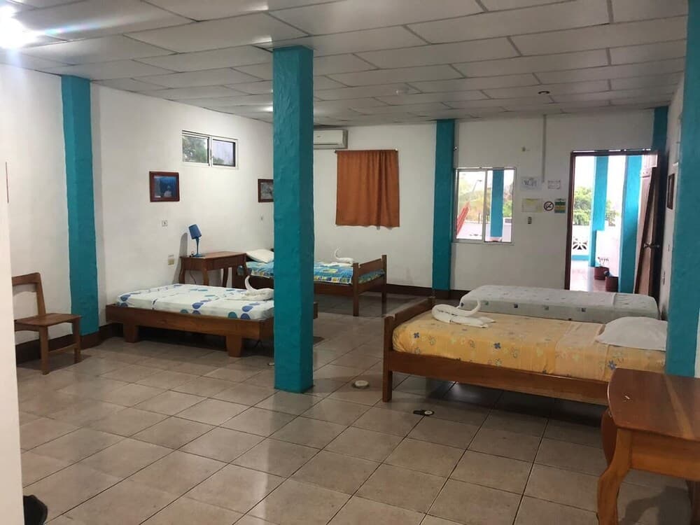 El Descanso Del Petrel