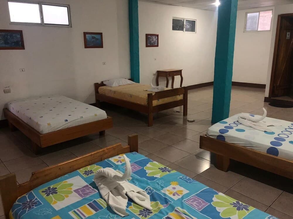 El Descanso Del Petrel