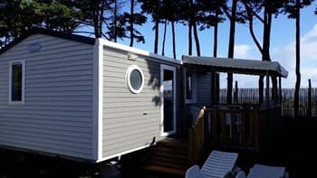 Tourne pied à Collier