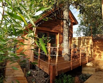 Kabanéo - Gîte et Sauna- Samois sur Seine - Forêt de Fontainebleau