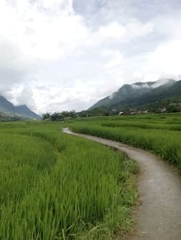 Pan Homestay - Hostel