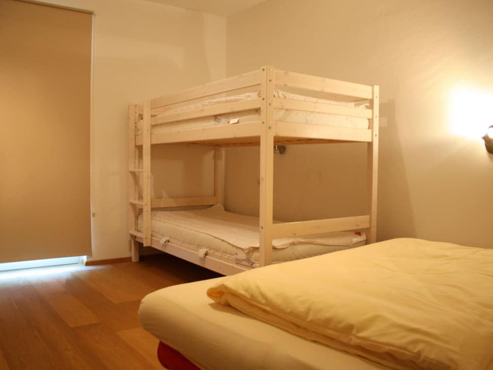 Apartment in the ski Area