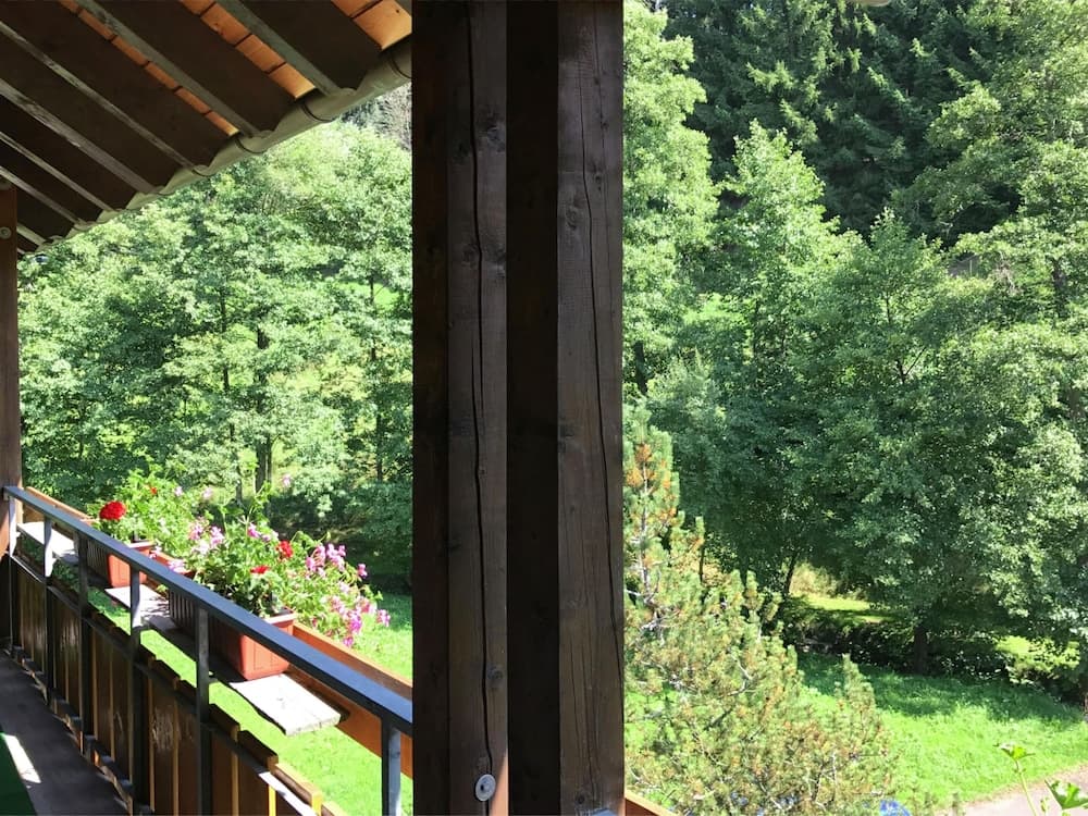 Comfortable Apartment in Baiersbronn With Balcony