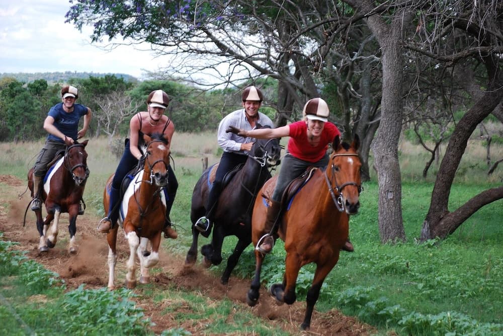 Lion's Den Backpackers