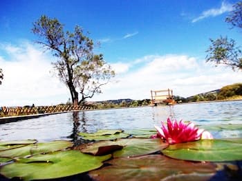 Agriturismo Il Poderino
