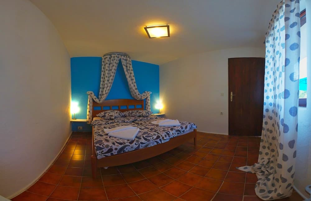 Victorious VIScovery Green