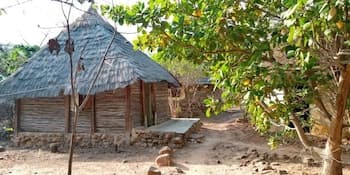 Campement Le Dogon Du Fouta