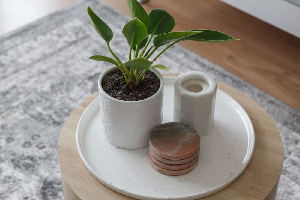 Heart of Ormond Apartment  by Ready Set Host