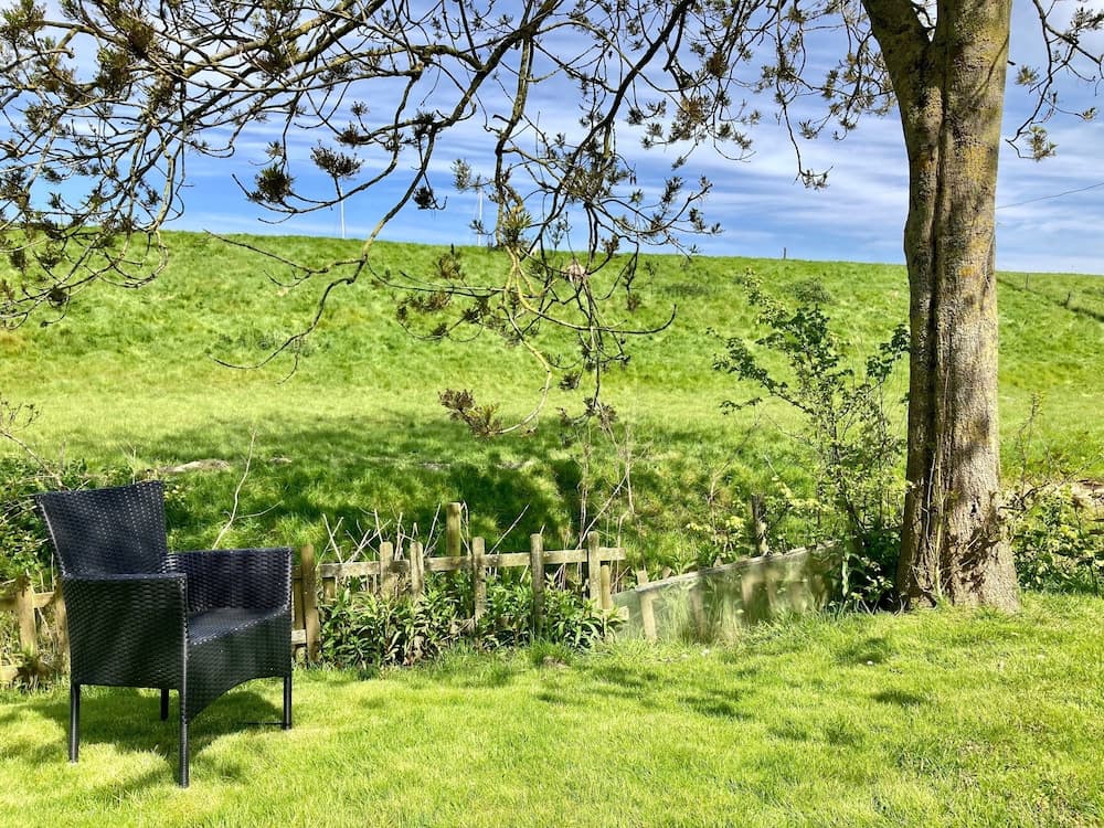 6 Pers Sunny House With Equipped Terrace Behind a Dike at Lauwersmeer