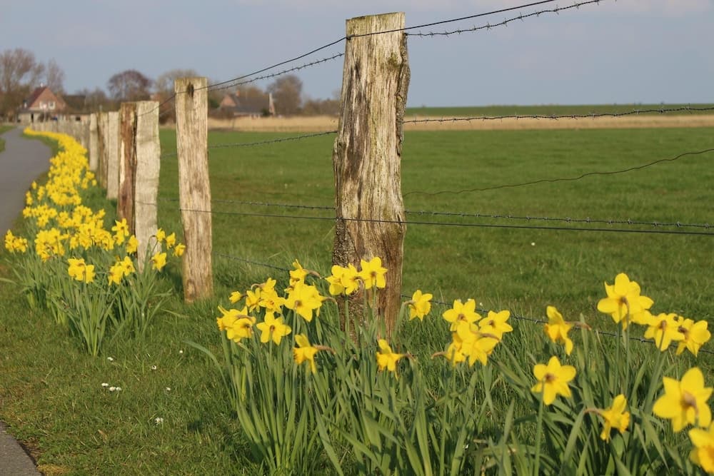 Ferienwohnung "meeresbrise"